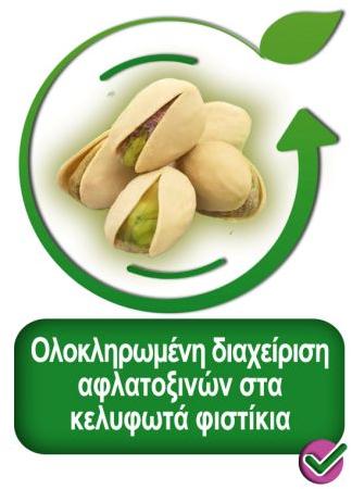 logo fistiki